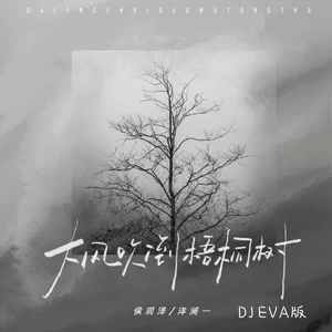 侯泽润/洋澜一 - 大风吹倒梧桐树(DJ EVA版伴奏)