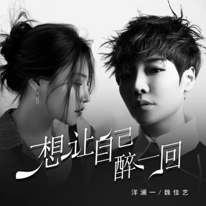 魏佳艺/洋澜一 - 想让自己醉一回(合唱版伴奏)