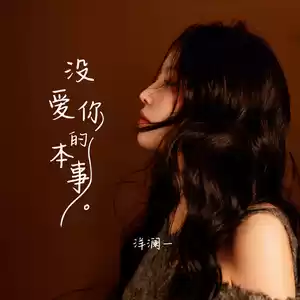 洋澜一 - 没爱你的本事(DJ默涵版)