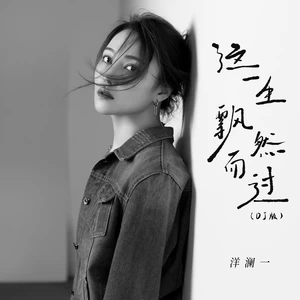 这一生飘然而过(DJBanan版伴奏)