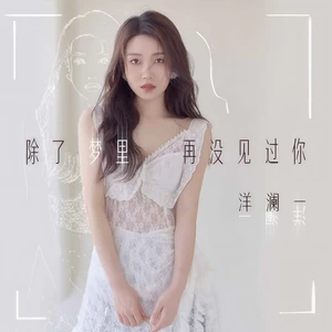 除了梦里再没见过你(DJ阿卓版伴奏)