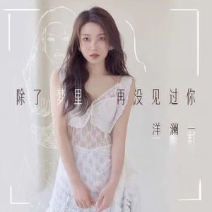 除了梦里再没见过你(伴奏)
