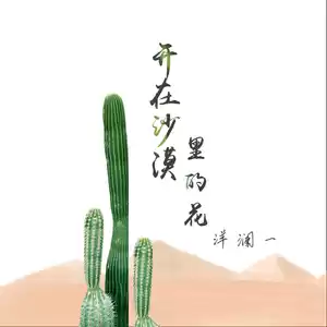 洋澜一 - 开在沙漠里的花