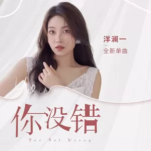你没错(DJ版)