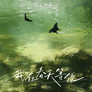 阿美呀 - 我在春天等你（片段）(片段)