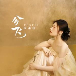 阿美呀 - 分飞(空灵版伴奏)