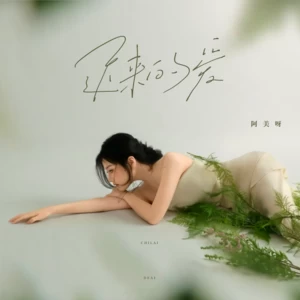 阿美呀 - 迟来的爱