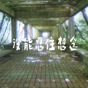 阿美呀 - 没能忍住想念