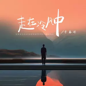 于春洋 - 走在冷风中(深情版伴奏)