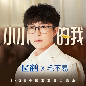 毛不易 - 小小的我