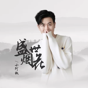 小阿枫 - 盛世烟花(和声伴奏)