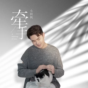 小阿枫 - 牵手(伴奏)