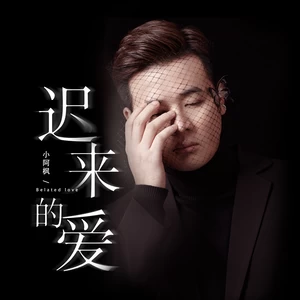 小阿枫 - 迟来的爱(伴奏)