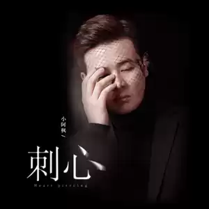 小阿枫 - 刺心(DJ伟然版伴奏)