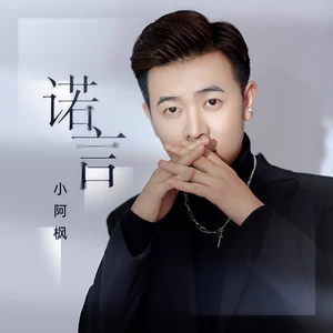 小阿枫 - 诺言(DJ九零版伴奏)