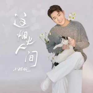 小阿枫 - 这烟火人间(伴奏)
