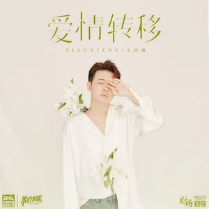 小阿枫 - 爱情转移(X0.8降速降调版)