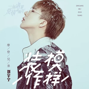摩登兄弟刘宇宁 - 装模作样