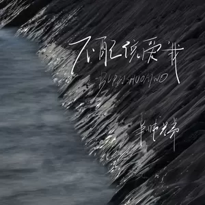 半吨兄弟 - 不配说爱我(DJ越鑫版)