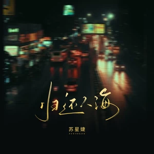 苏星婕 - 归还人海