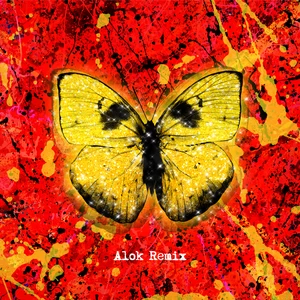 Shivers(Alok Remix)