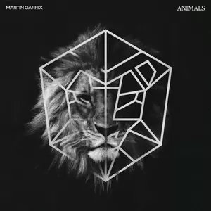Martin Garrix - Animals(Radio Edit)