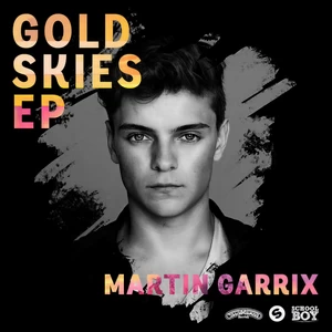 Martin Garrix/Dimitri Vegas / Like Mike - Tremor