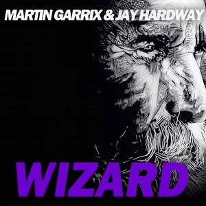 Martin Garrix/Jay Hardway - Wizard(Original Mix)