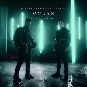 Martin Garrix/Khalid - Ocean(Banx & Ranx Remix)