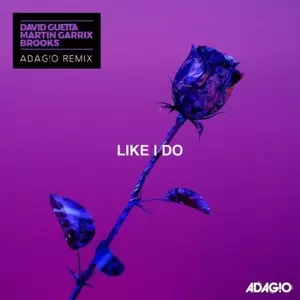 ADAG!O/David Guetta/Martin Garrix/Brooks - Like I Do(ADAG!O Remix)