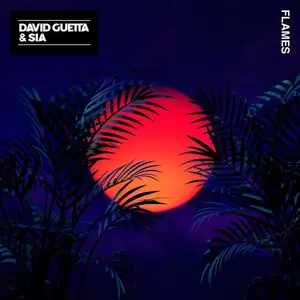 David Guetta/Sia - Flames