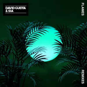 Sia/David Guetta - Flames(Leandro Da Silva Remix)