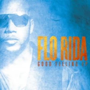 Flo Rida/Sia - Wild Ones