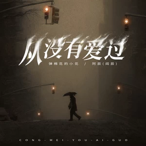 弹棉花的小花/阿辰（阎辰） - 从没有爱过