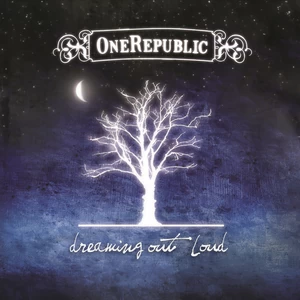OneRepublic - Apologize