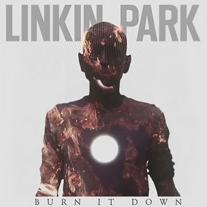 Burn It Down(Live)