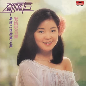 邓丽君 - 相见在明天