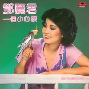 邓丽君 - 春的怀抱