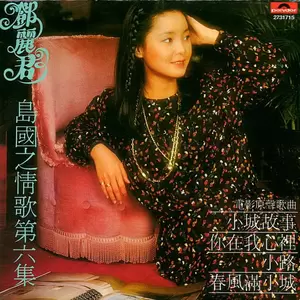 邓丽君 - 心事