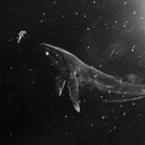 EXO - LIGHTSABER(Bonus Track)