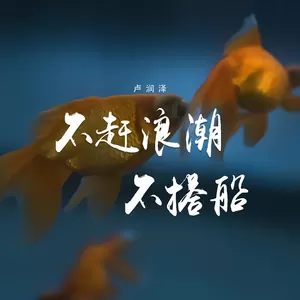 不赶浪潮不搭船