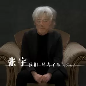 张宇 - 我们尽力了