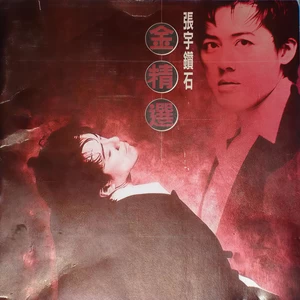 张宇 - 让头抬得更高