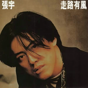 张宇 - 今夜寒风冷酸酸(柔情版)