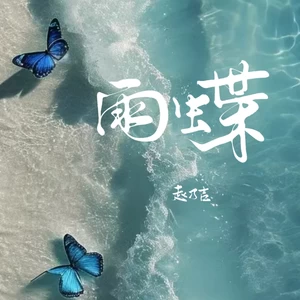 赵乃吉 - 雨蝶(伴奏)