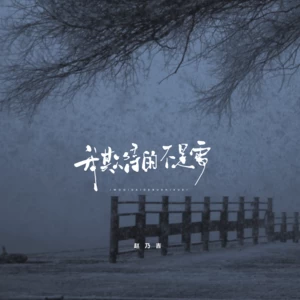 赵乃吉 - 我期待的不是雪(大雪版伴奏)