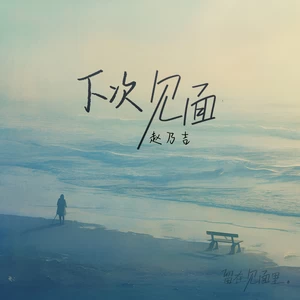 赵乃吉 - 下次见面(伴奏)