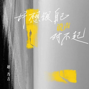 赵乃吉 - 好想跟自己说声对不起
