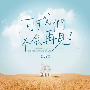 赵乃吉 - 可我们不会再见了