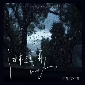 赵乃吉 - 淋过雨的人